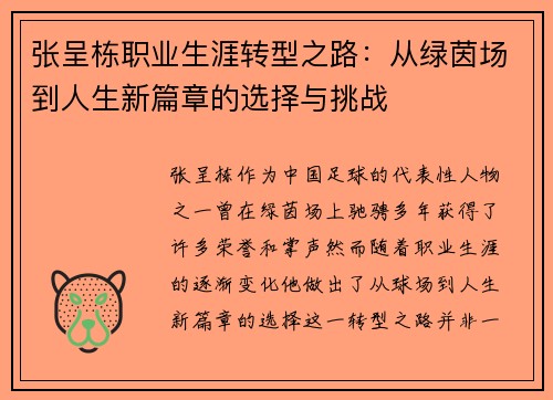 张呈栋职业生涯转型之路：从绿茵场到人生新篇章的选择与挑战