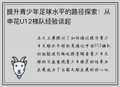 提升青少年足球水平的路径探索：从申花U12梯队经验谈起