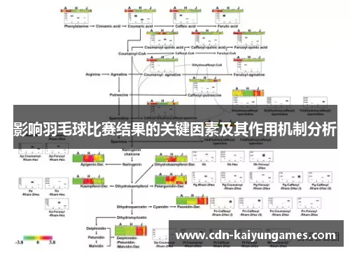 影响羽毛球比赛结果的关键因素及其作用机制分析