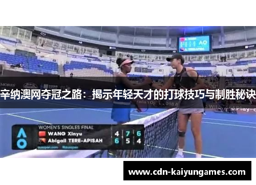 辛纳澳网夺冠之路：揭示年轻天才的打球技巧与制胜秘诀
