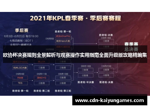 欧协杯决赛规则全景解析与观赛操作实用指南全面升级版攻略精编集 欧协杯决赛规则全景解析与观赛操作实用指南全面升级版攻略精编集