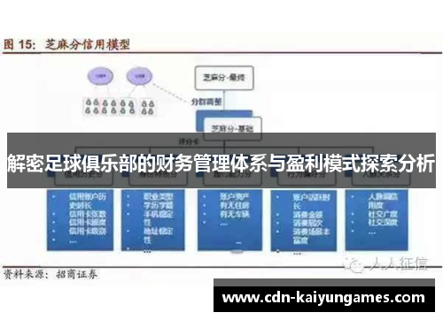 解密足球俱乐部的财务管理体系与盈利模式探索分析
